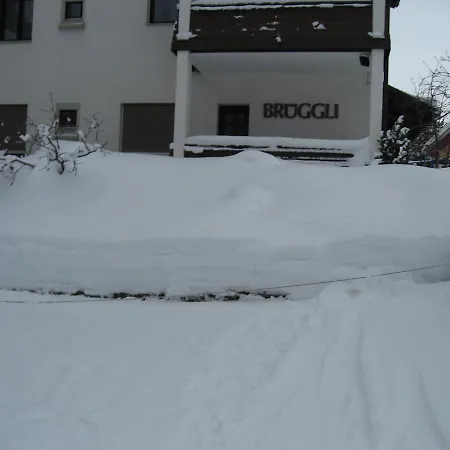 Haus Bruggli A25 Apartment Arosa